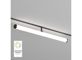 Трековый светодиодный светильник Denkirs Smart Ray DK8065-BK