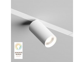 Трековый светильник Denkirs Smart Spot DK8020-WH