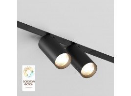 Трековый светодиодный светильник Denkirs Smart Spot DK8012-BK
