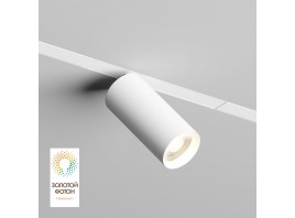 Трековый светильник Denkirs Smart Spot DK8010-WH