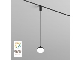 Трековый светодиодный светильник Denkirs Smart Moon DK8056-BK