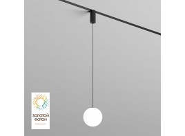 Трековый светодиодный светильник Denkirs Smart Moon DK8052-BK