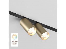 Трековый светодиодный светильник Denkirs Smart Spot DK8012-BG