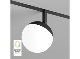 Трековый светодиодный светильник Denkirs Smart Moon DK8055-BK