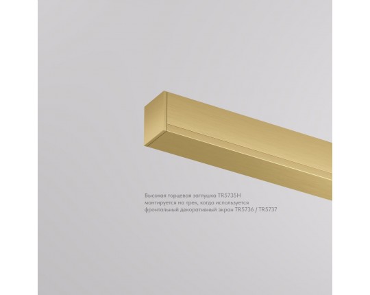 Заглушка Denkirs Shine Base TR5735H-SB