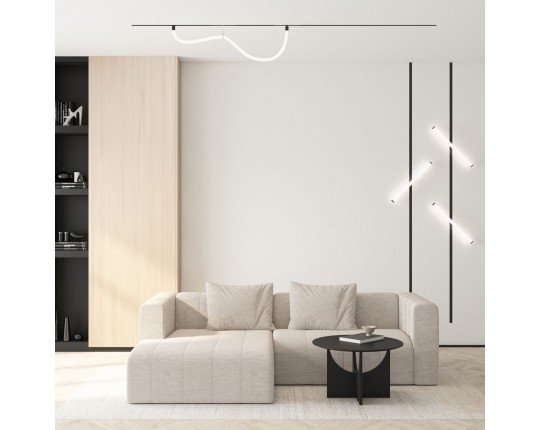Трековый светодиодный светильник Denkirs Smart Ray DK8060-BK