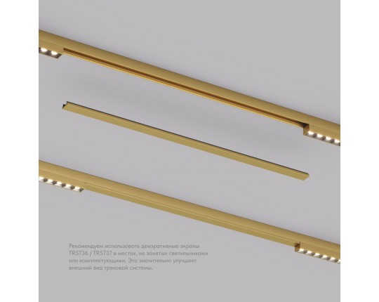 Вставка декоративная Denkirs Shine Base TR5737-SB