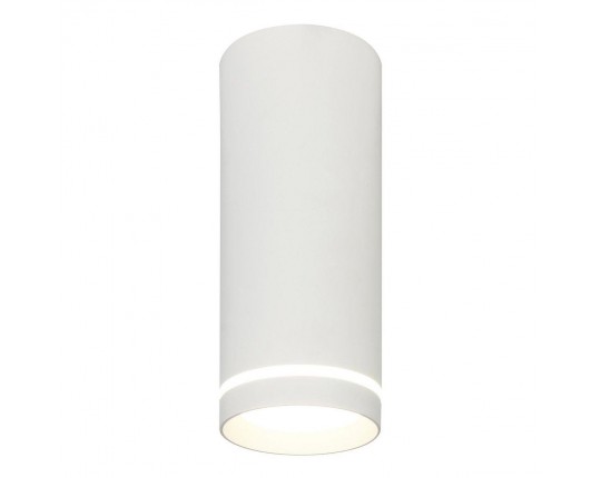 Потолочный светодиодный светильник Escada 20009SMU/02LED SWH