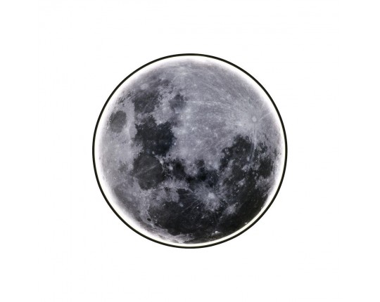 Настенно потолочный светодиодный светильник Escada Planet 605/S LED Moon