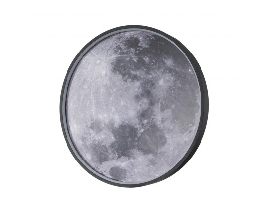 Настенно-потолочный светодиодный светильник Escada Planet 10226/SG LED Moon