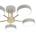 Потолочная светодиодная люстра Escada Rune 10262/5LED