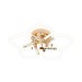 Потолочный светодиодный светильник Escada Lacerta 10265/5LED