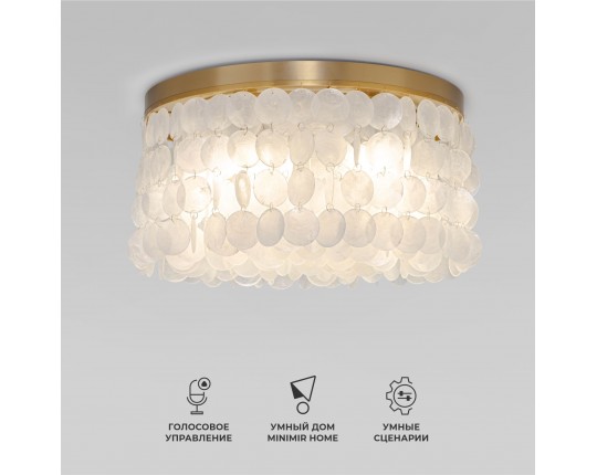 Умная потолочная люстра с перламутром Eurosvet 60084/5 латунь/перламутр Smart