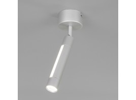 Настенно-потолочный светодиодный светильник Eurosvet 20084/1 LED серебро