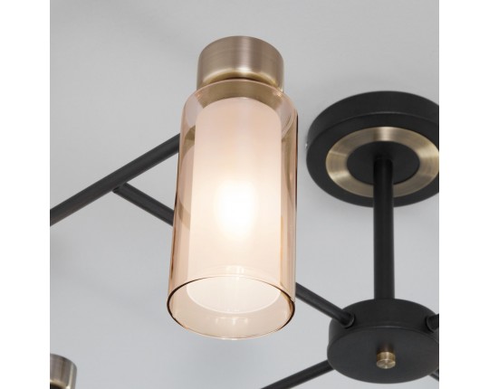 Потолочная люстра со стеклянными плафонами Eurosvet 70115/8 черный