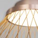 Потолочный светодиодный светильник Eurosvet 40019/1 LED коричневый
