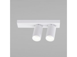 Светодиодный светильник Eurosvet 20139/2 LED белый
