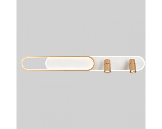 Потолочная светодиодная люстра Favourite Planar 4075-2C
