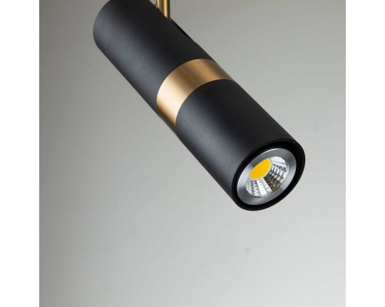 Подвесной светильник Favourite Light Point 2997-1P