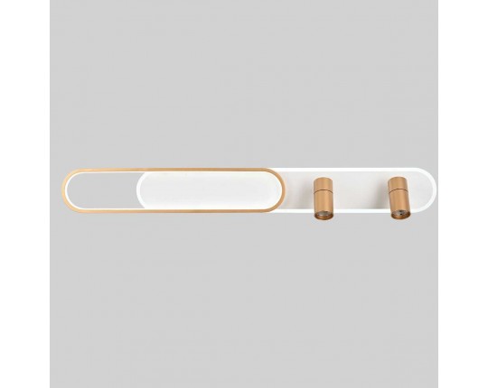 Потолочная светодиодная люстра Favourite Planar 4075-2C