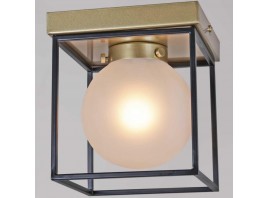 Потолочный светильник ILLUMICO IL0050-1C-79