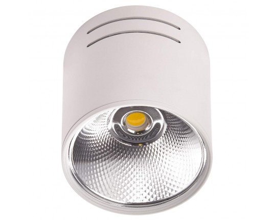 Светильник LED 1*10W потолочный спот Белый IL.0005.4015
