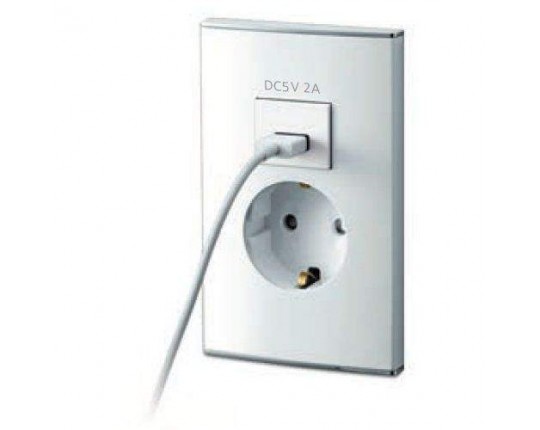 Розетка 220V 16A с зарядным устройством USB DC5V 2A. Parthenon White WRC 4707