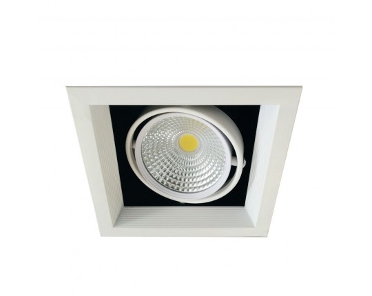 Светильник карданный LED 1*20W встраиваемый, WH IL.0006.2115