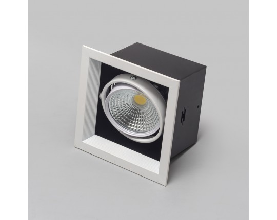 Светильник карданный LED 1*20W встраиваемый, WH IL.0006.2115