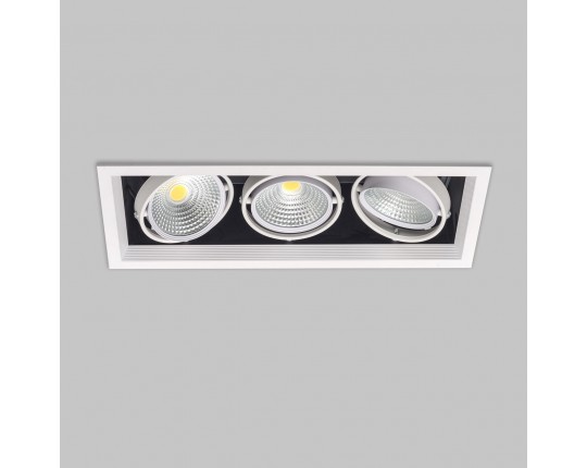 Светильник карданный LED 3*20W встраиваемый, WH IL.0006.2315