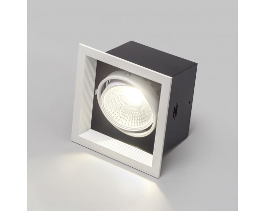 Светильник карданный LED 1*20W встраиваемый, WH IL.0006.2115