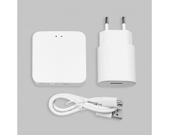 WI-FI конвертер, Белый IL.0050.7000-WH