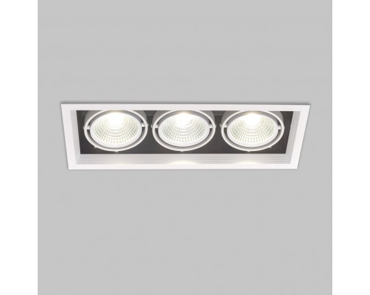 Светильник карданный LED 3*20W встраиваемый, WH IL.0006.2315