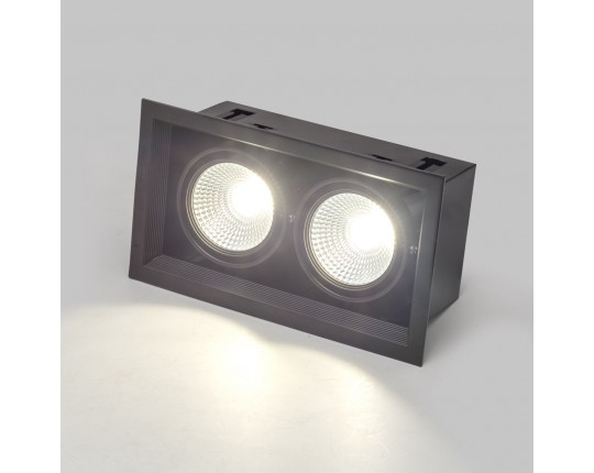 Светильник карданный LED 2*20W встраиваемый, BK IL.0006.2200