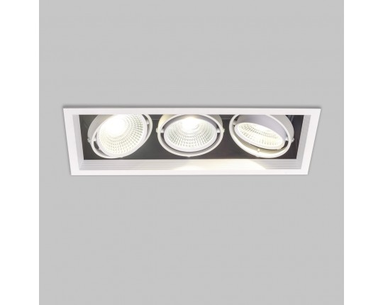 Светильник карданный LED 3*20W встраиваемый, WH IL.0006.2315