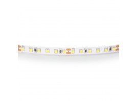 Светодиодная лента Lightstar 12W/m 120LED/m холодный белый 5M 420805