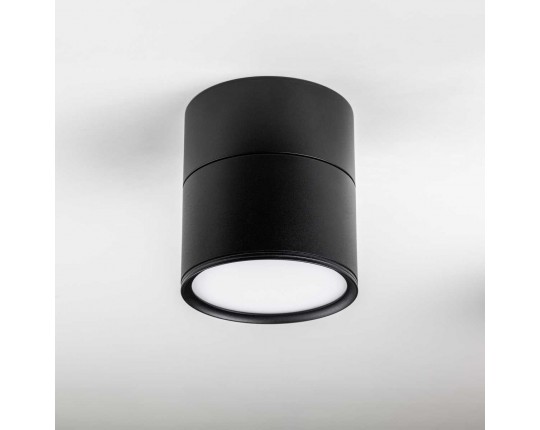 Светильник накладной Lightstar Acuto 215887