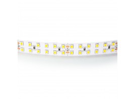 Светодиодная лента Lightstar 24W/m 240LED/m дневной белый 5M 421504