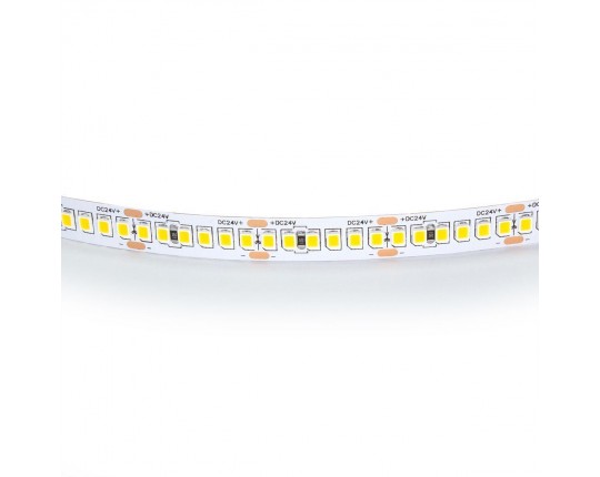 Светодиодная лента Lightstar 24W/m 240LED/m дневной белый 5M 421024