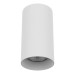 Потолочный светильник Lightstar Rullo 216486