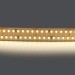 Светодиодная лента Lightstar 30W/m 280LED/m дневной белый 5M 422004 Светодиодная лента Lightstar 30W/m 280LED/m дневной белый 5M 422004