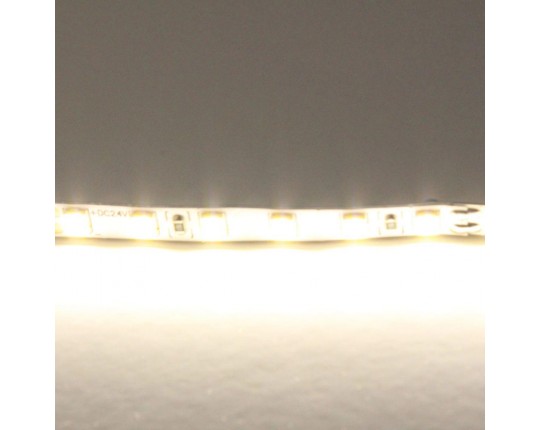 Светодиодная лента Lightstar 12W/m 120LED/m дневной белый 5M 420504