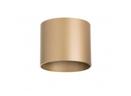 Потолочный светильник Lightstar Rullo 213490