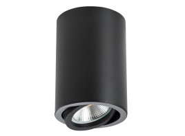 Потолочный светильник Lightstar Rullo 214407