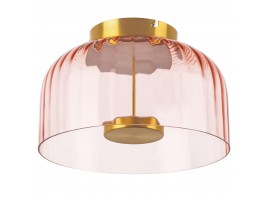 Потолочный светодиодный светильник Lightstar Celesta 809062