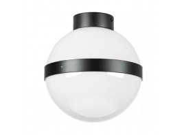 Настенно-потолочный светильник Lightstar Globo 812117