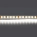 Светодиодная лента Lightstar 12W/m 120LED/m холодный белый 5M 420805 Светодиодная лента Lightstar 12W/m 120LED/m холодный белый 5M 420805