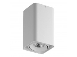 Потолочный светодиодный светильник Lightstar Monocco 052336