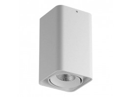 Потолочный светильник Lightstar Monocco 212536