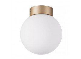 Настенно-потолочный светильник Lightstar Globo 812013